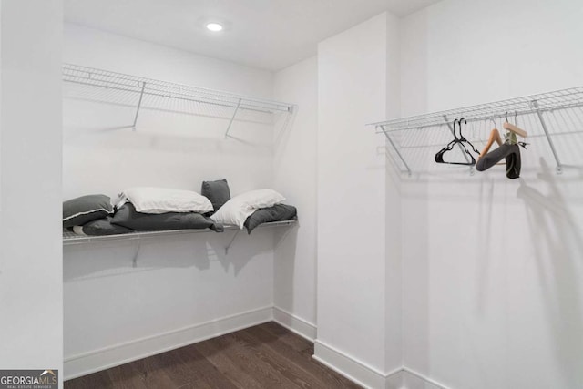 spacious closet featuring dark hardwood / wood-style floors