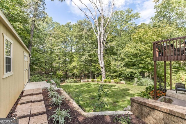 view of yard featuring a patio