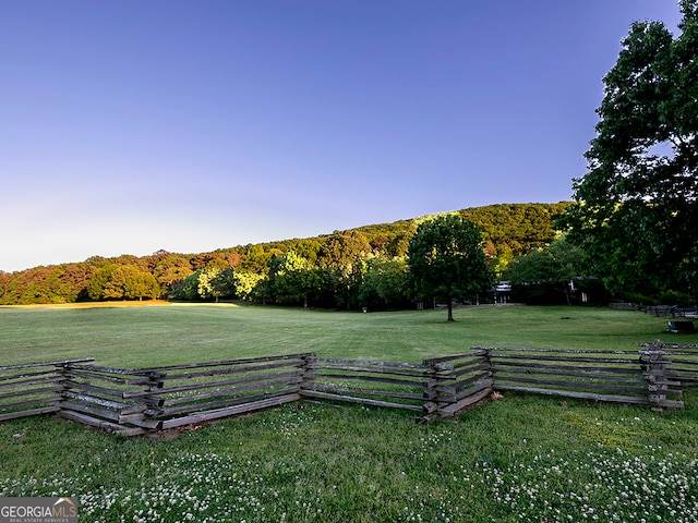 view of yard with a rural view