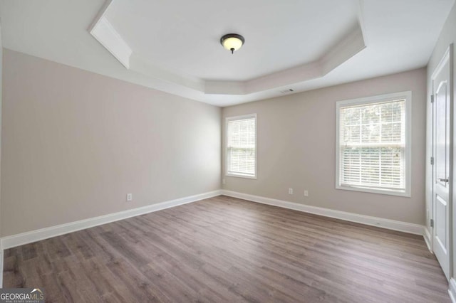 spare room with a raised ceiling and wood-type flooring