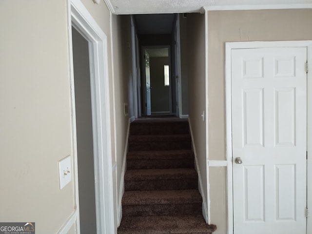 stairway with a textured ceiling and hardwood / wood-style flooring