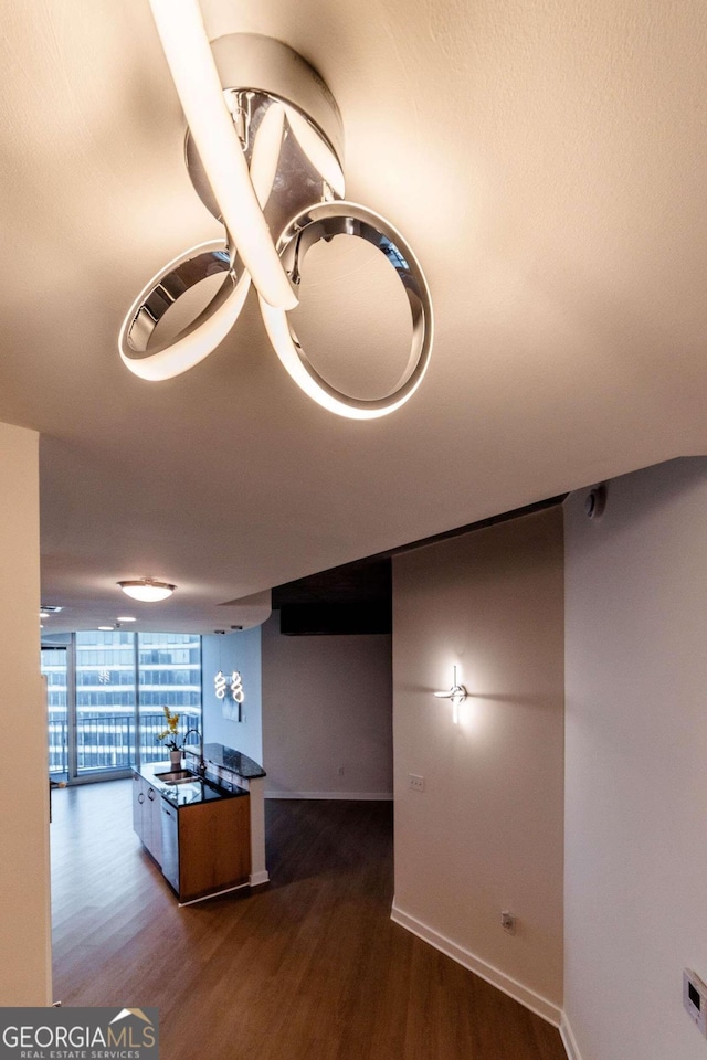 interior space with sink, hardwood / wood-style floors, and floor to ceiling windows