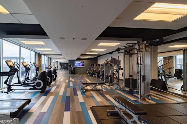 workout area with carpet floors, a healthy amount of sunlight, and a drop ceiling