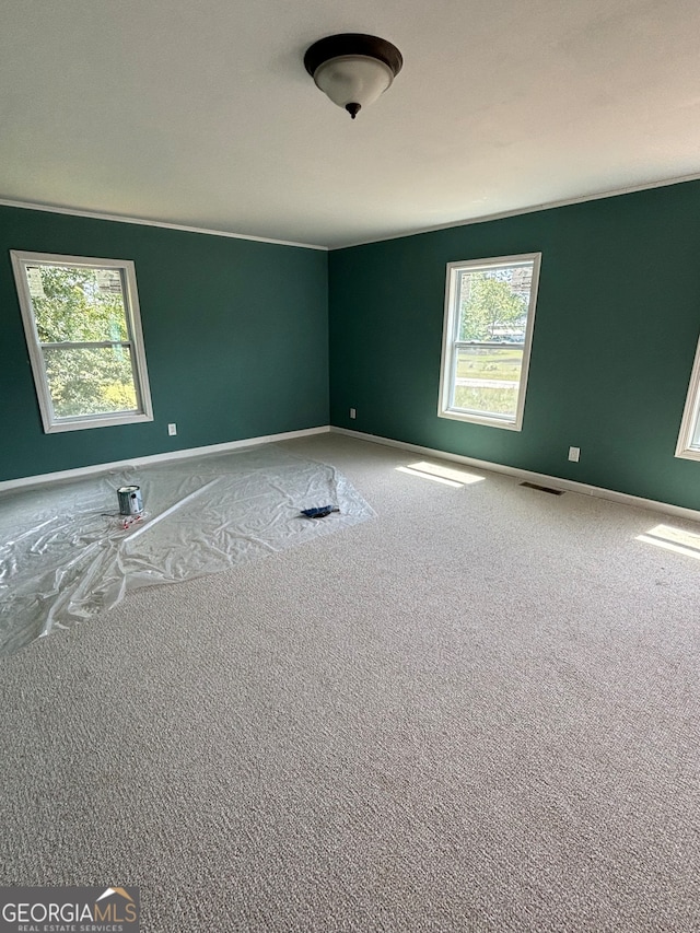 spare room with plenty of natural light and carpet floors