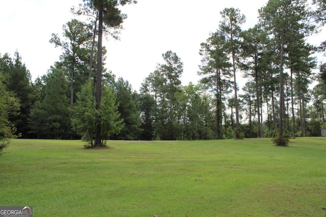 Listing photo 3 for 0 Sturgeon Creek Rd Unit 3, Fitzgerald GA 31750