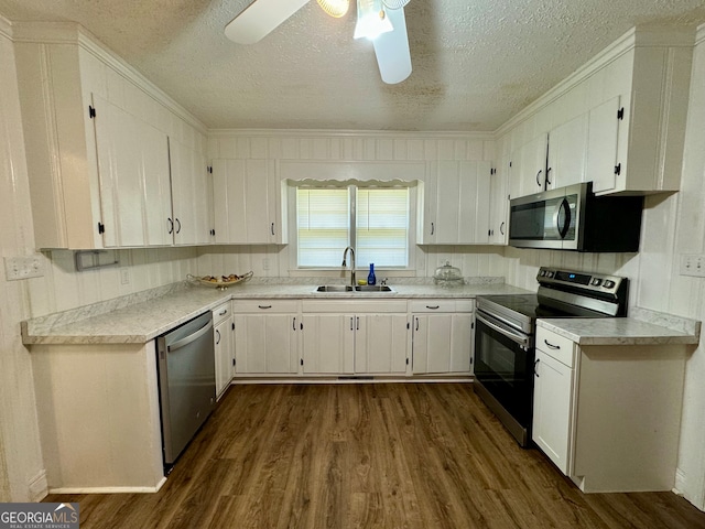 kitchen with dark wood-type flooring, ceiling fan, stainless steel appliances, and sink