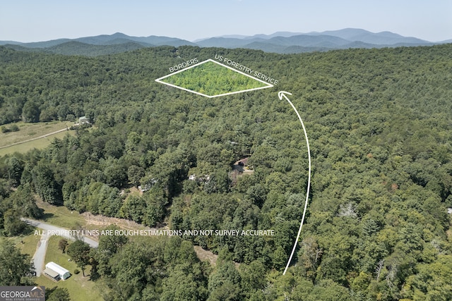 10AC Doublehead Gap Rd Unit 1, Blue Ridge GA, 30513 land for sale