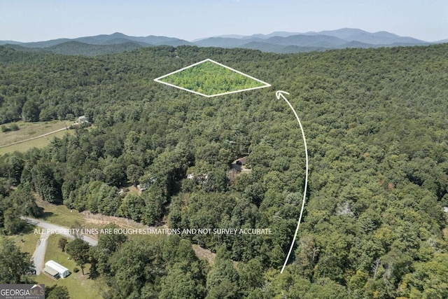 Listing photo 2 for 10AC Doublehead Gap Rd Unit 1, Blue Ridge GA 30513