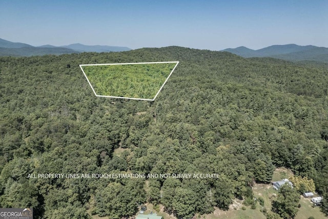 Listing photo 3 for 10AC Doublehead Gap Rd Unit 1, Blue Ridge GA 30513