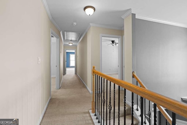 hall with crown molding and light colored carpet