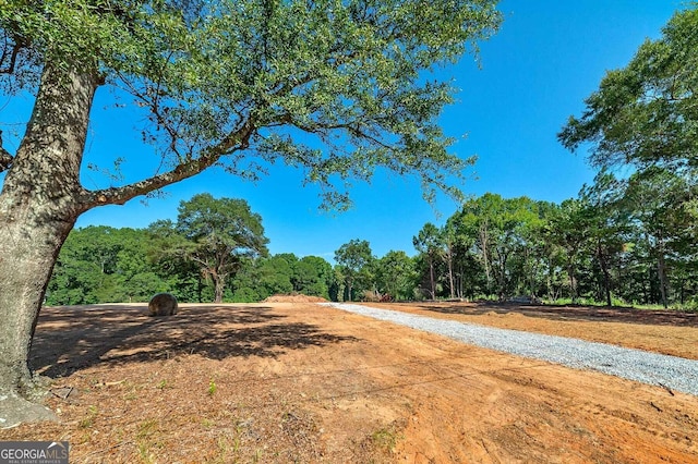 3000 S 6th Street Ext, Griffin, GA 30224 - view of road featuring a view of trees