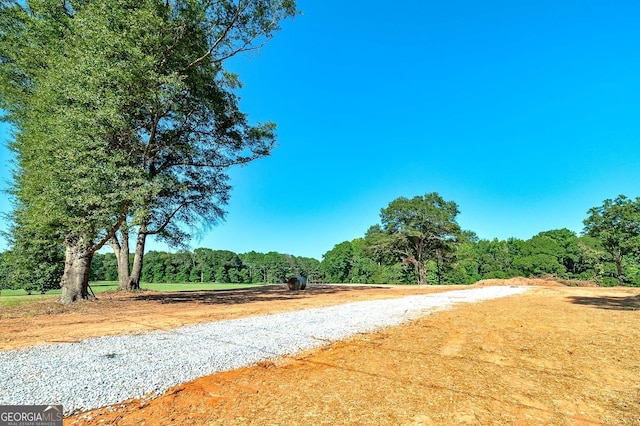 3000 S 6th Street Ext, Griffin, GA 30224 - view of street with a forest view