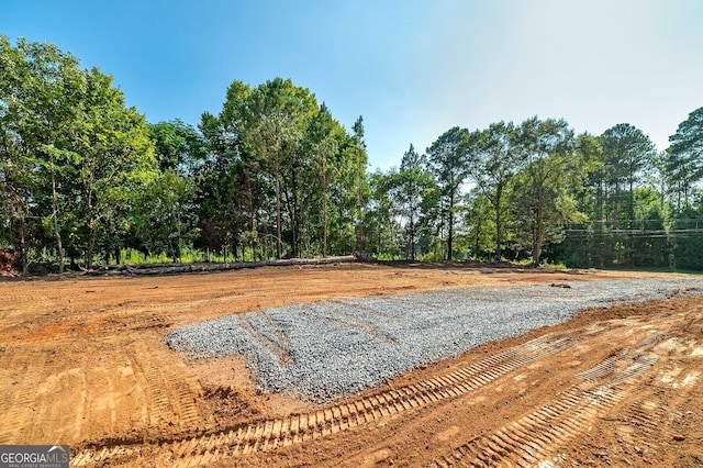 3000 S 6th Street Ext, Griffin, GA 30224 - view of yard
