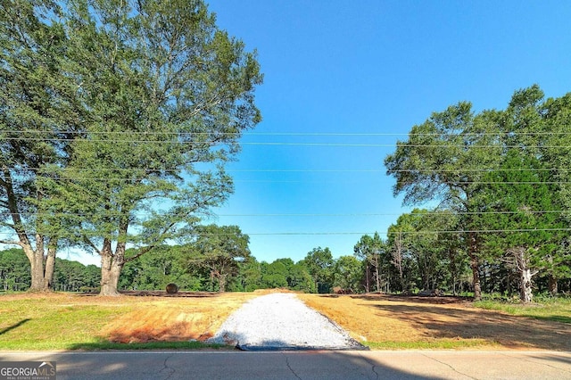 3000 S 6th Street Ext, Griffin, GA 30224 - view of street