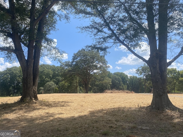 view of local wilderness