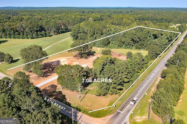3000 S 6th Street Ext, Griffin, GA 30224 - view of property location with a forest and property boundaries highlighted