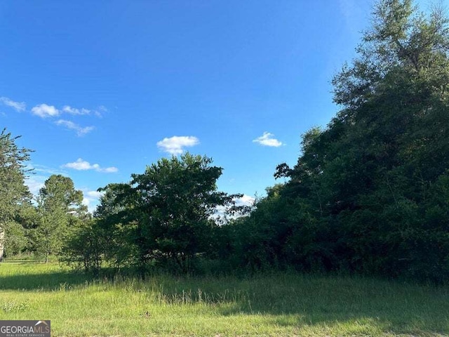 1412 Hephzibah Mcbean Rd, Hephzibah, GA 30815