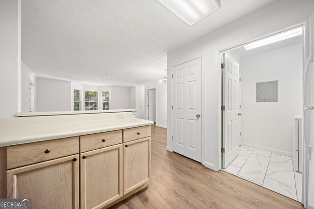 kitchen featuring a textured ceiling, electric panel, light brown cabinets, and light hardwood / wood-style flooring