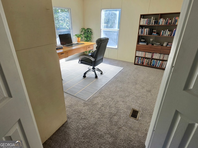 home office featuring carpet floors