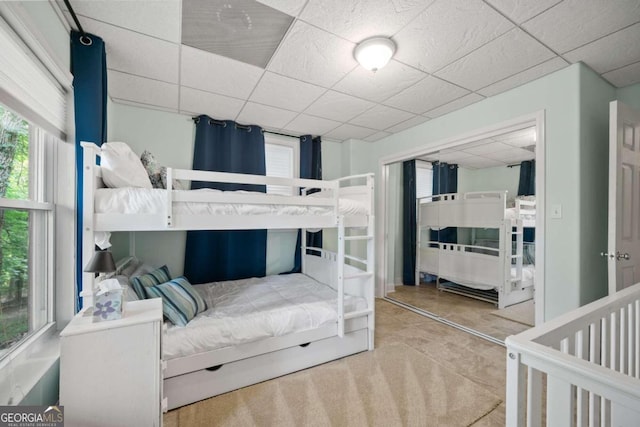 bedroom featuring a drop ceiling, carpet flooring, and a closet