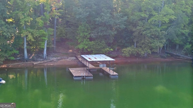 dock area with a water view