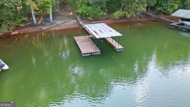 dock area with a water view