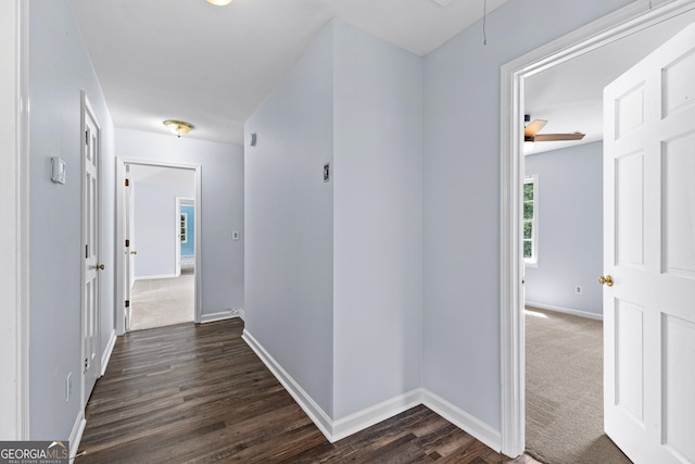 hallway featuring dark carpet, attic access, baseboards, and dark wood finished floors