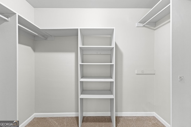 spacious closet featuring carpet floors