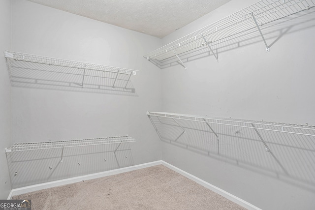 spacious closet featuring carpet flooring