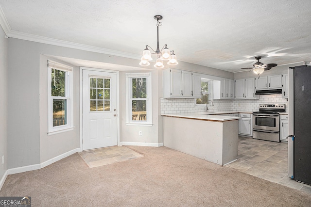 kitchen featuring ceiling fan with notable chandelier, a wealth of natural light, stainless steel appliances, and light carpet