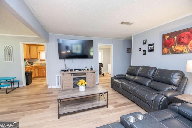 living room with a textured ceiling, light hardwood / wood-style flooring, and ornamental molding