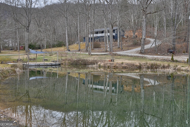 dock area featuring a water view