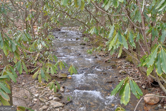 view of local wilderness