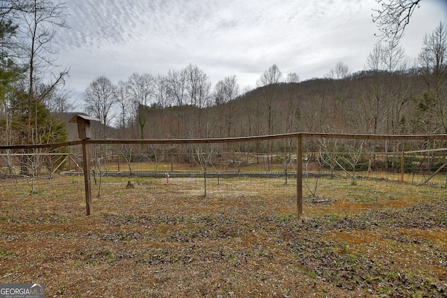 view of yard featuring a rural view