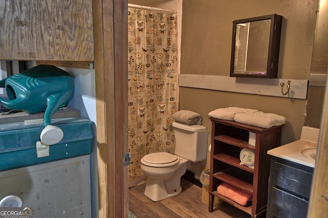 bathroom featuring a shower with curtain, wood-type flooring, toilet, and vanity