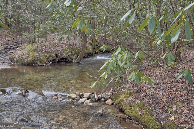 view of water feature