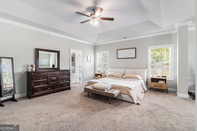 bedroom with carpet, multiple windows, and a raised ceiling