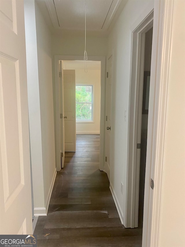 hallway featuring dark wood-type flooring