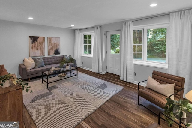 living room featuring dark hardwood / wood-style floors