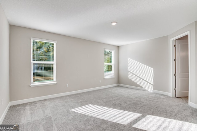 spare room featuring a wealth of natural light and light colored carpet