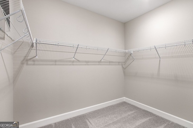 spacious closet featuring carpet flooring