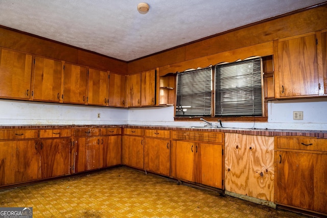 kitchen with a textured ceiling, ornamental molding, and sink