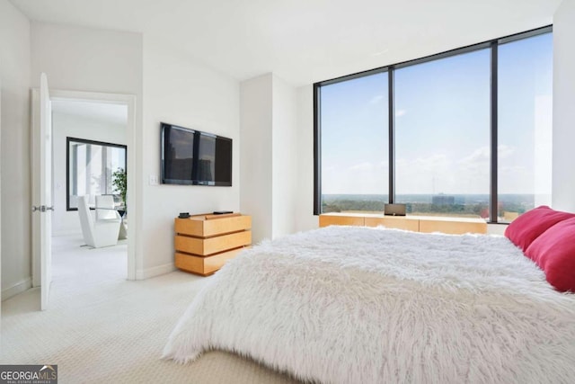 carpeted bedroom featuring multiple windows