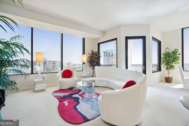 living room with carpet floors