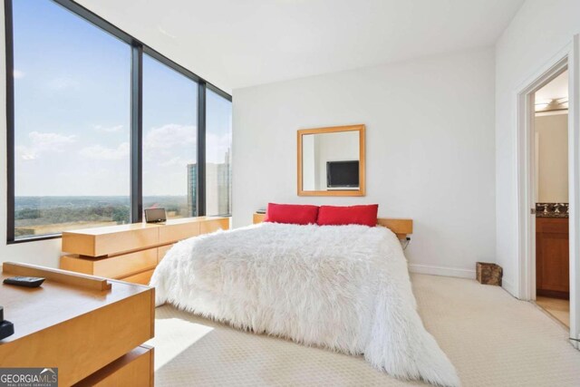 view of carpeted bedroom