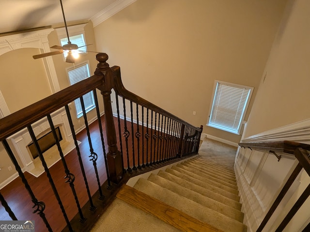 staircase with crown molding, a high ceiling, hardwood / wood-style floors, and ceiling fan