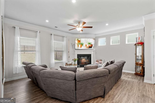 living room featuring ceiling fan, wood-type flooring, and crown molding