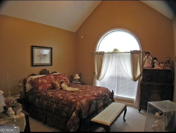 bedroom featuring lofted ceiling and carpet flooring