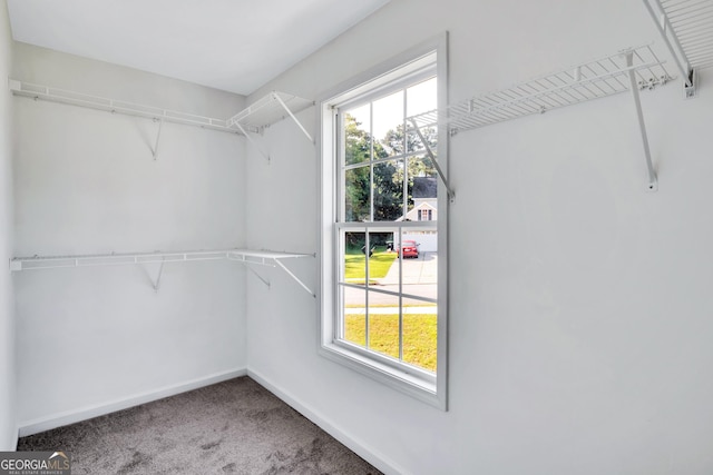 spacious closet with carpet floors