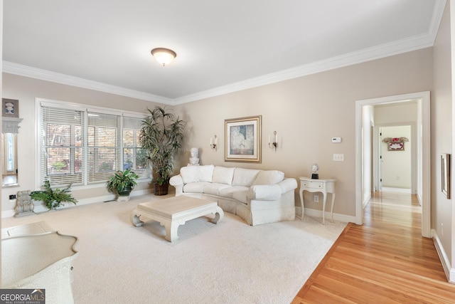 living room with crown molding and hardwood / wood-style floors